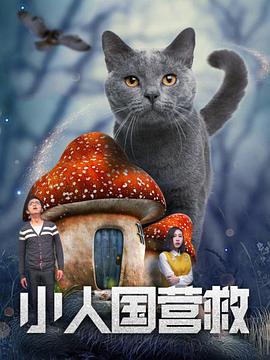 欧美视频在线观看一区二区